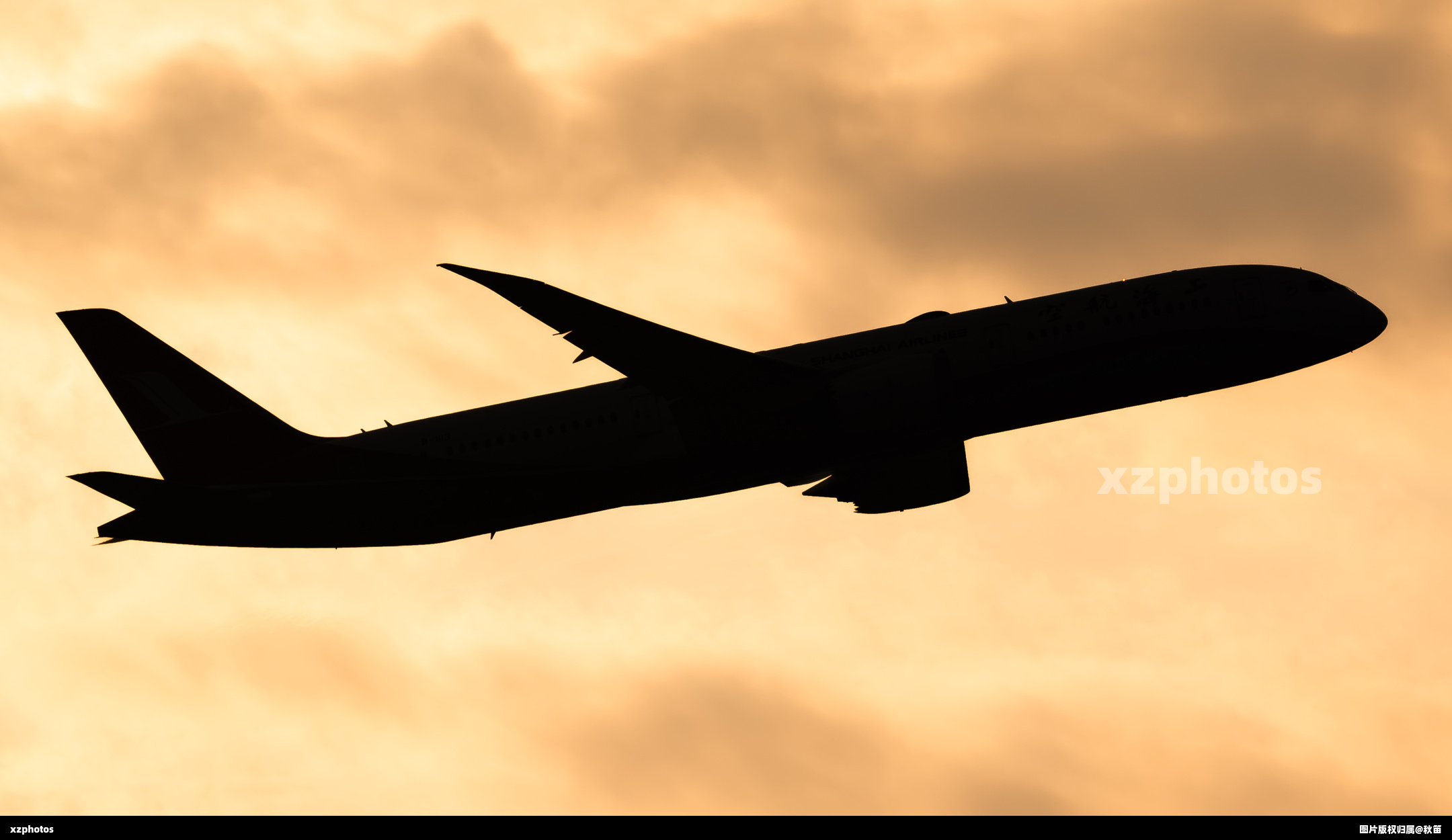 B-1113黄金光拉起