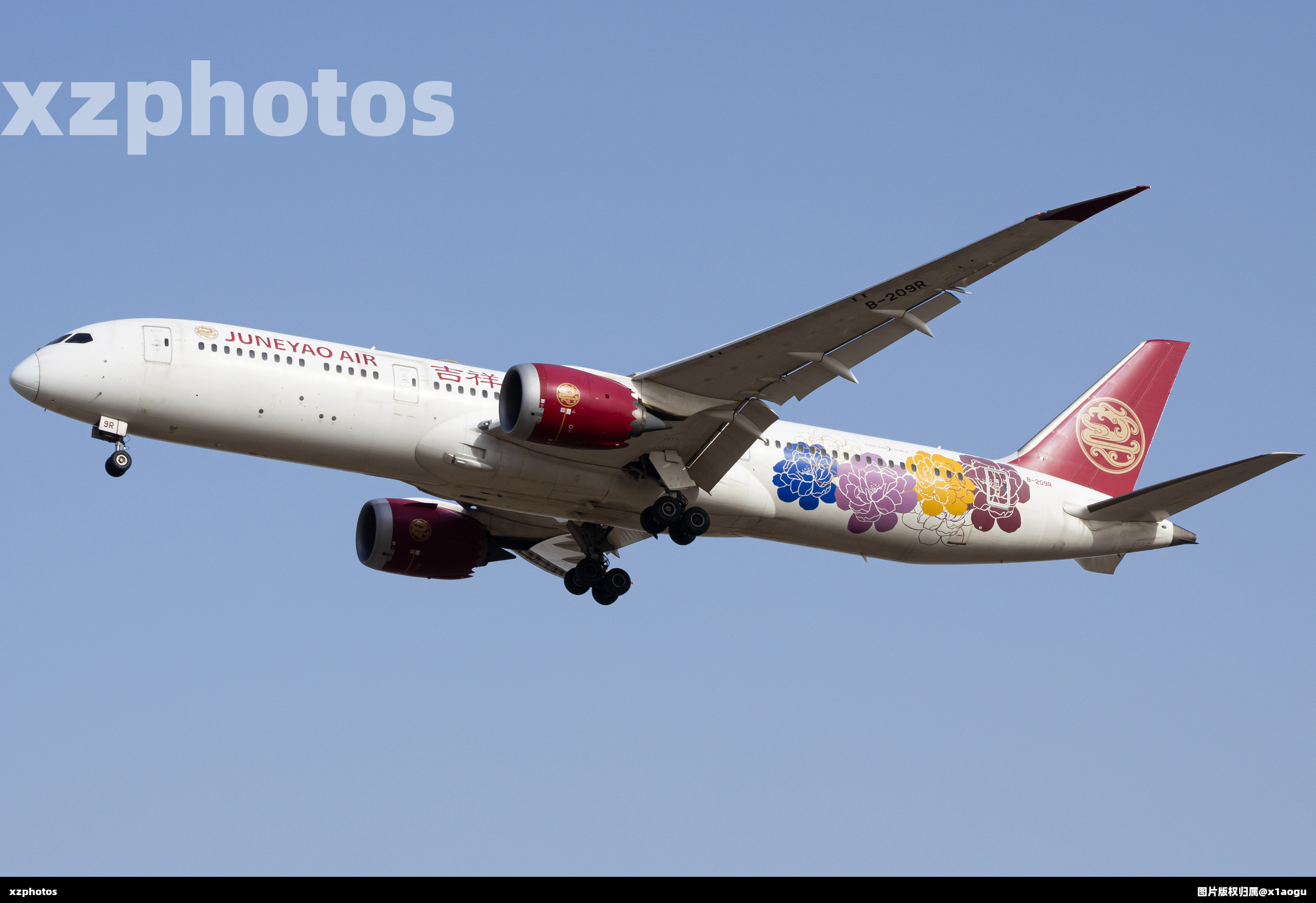 机翼上翘5度以更贴近鸟儿的姿态飞行