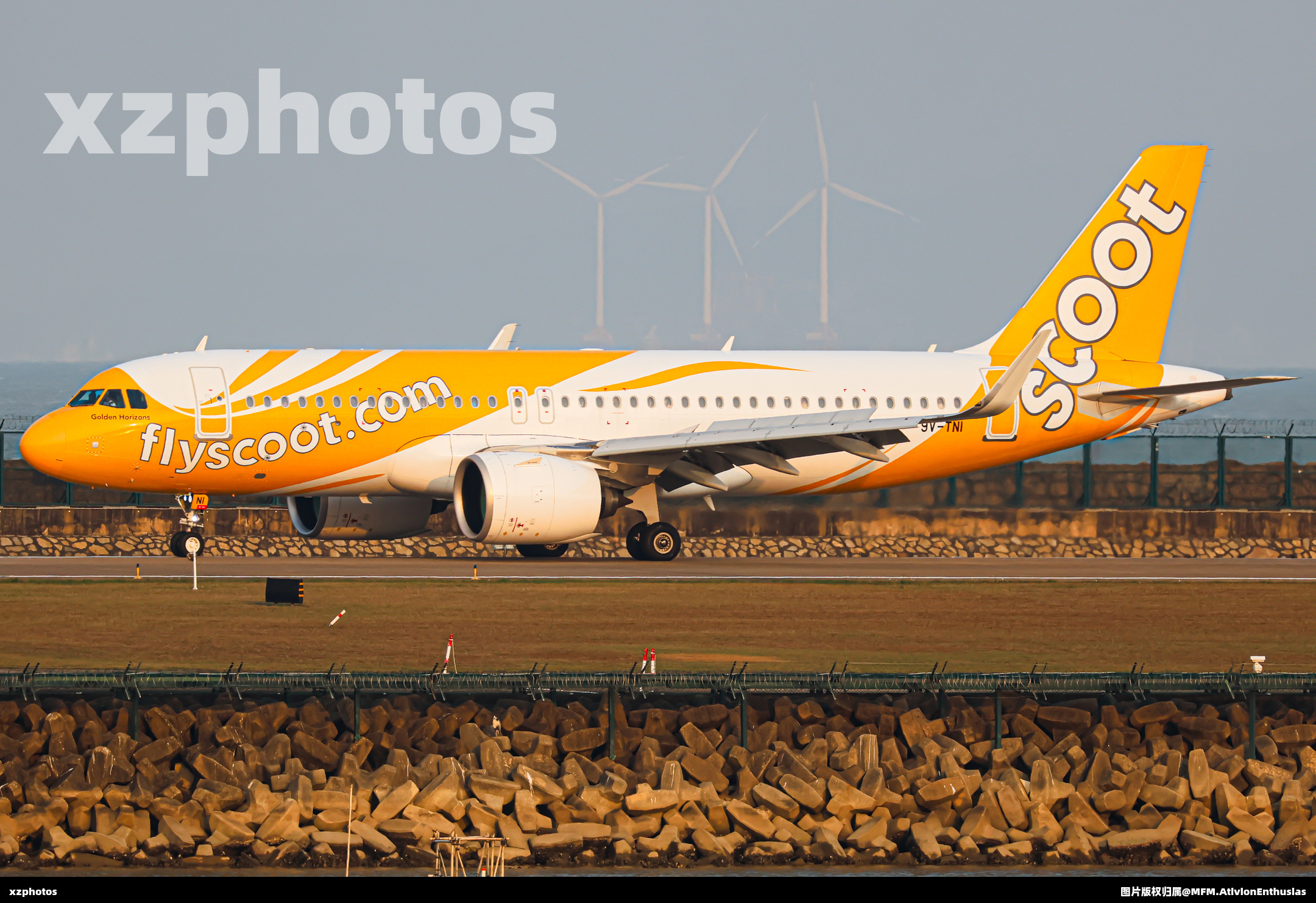 金光新加坡酷航