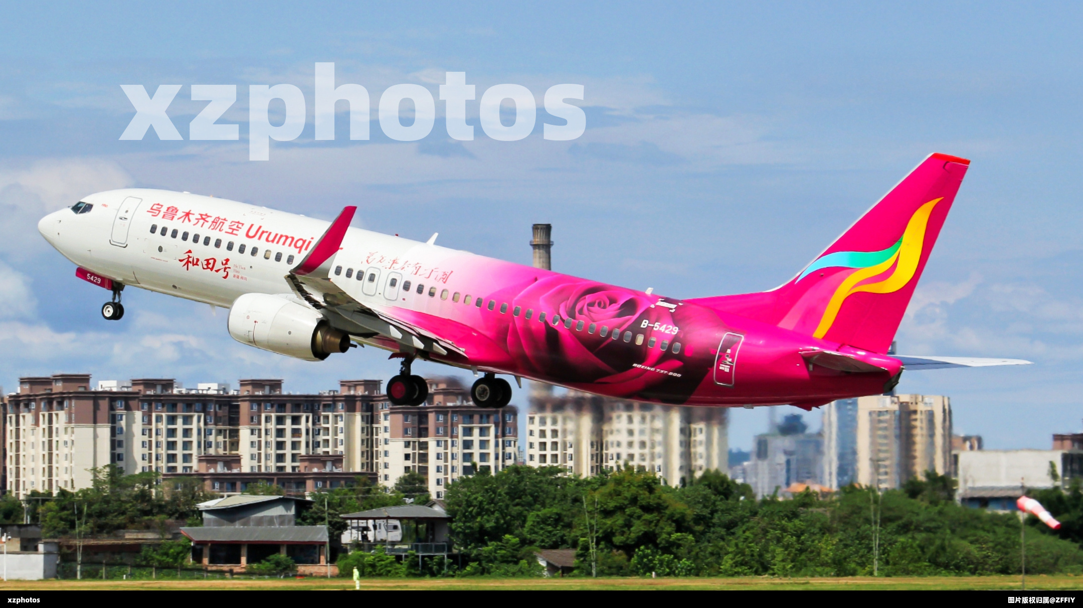 新疆不仅有阿达西还有盛开的玫瑰