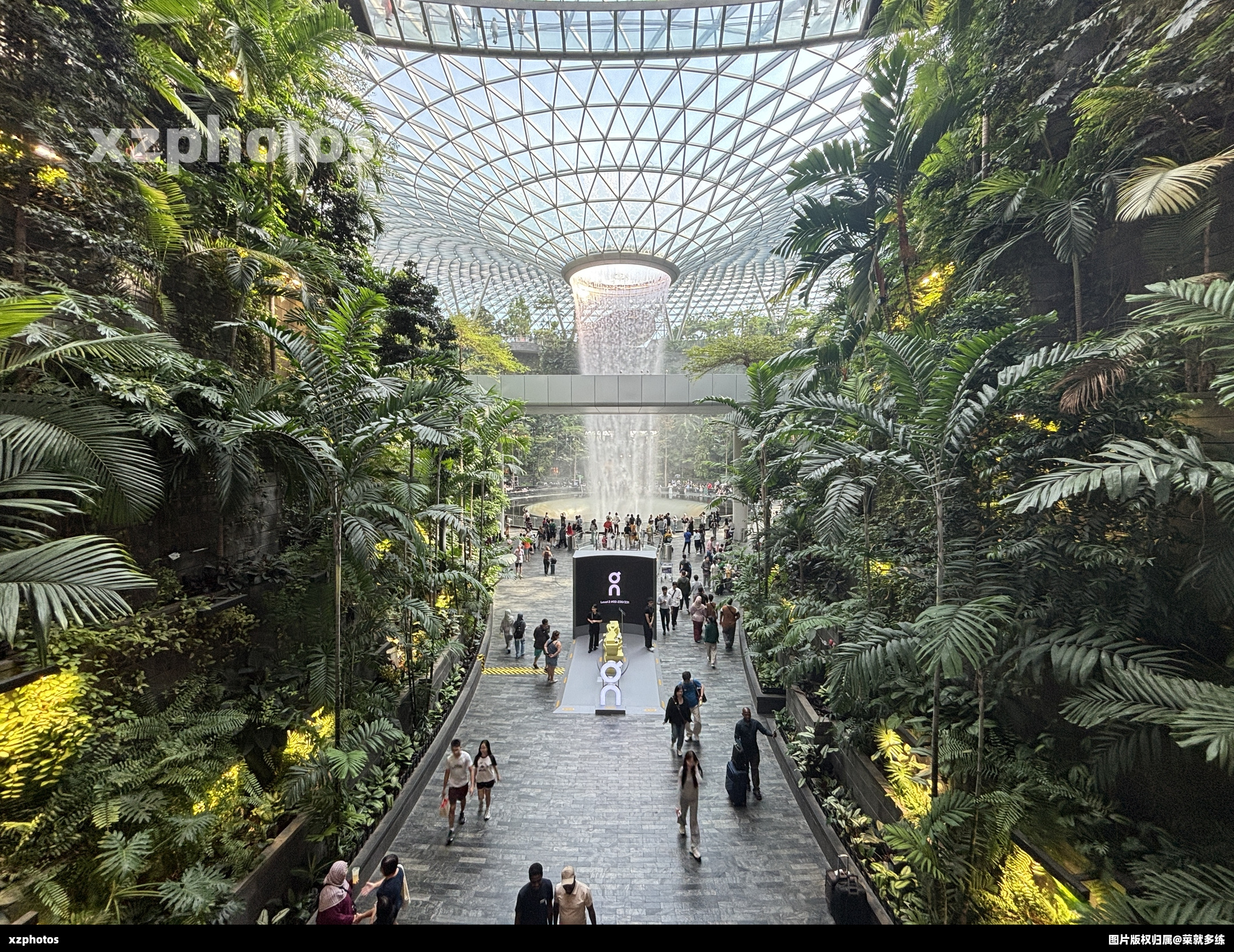 Changi Airport T1 jewel