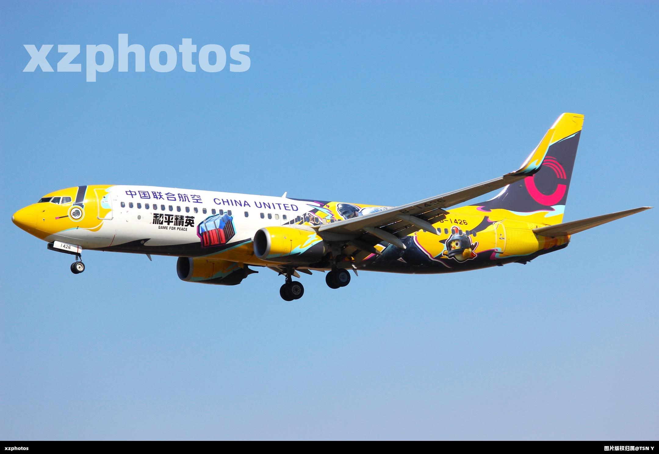 中联航和平精英彩绘