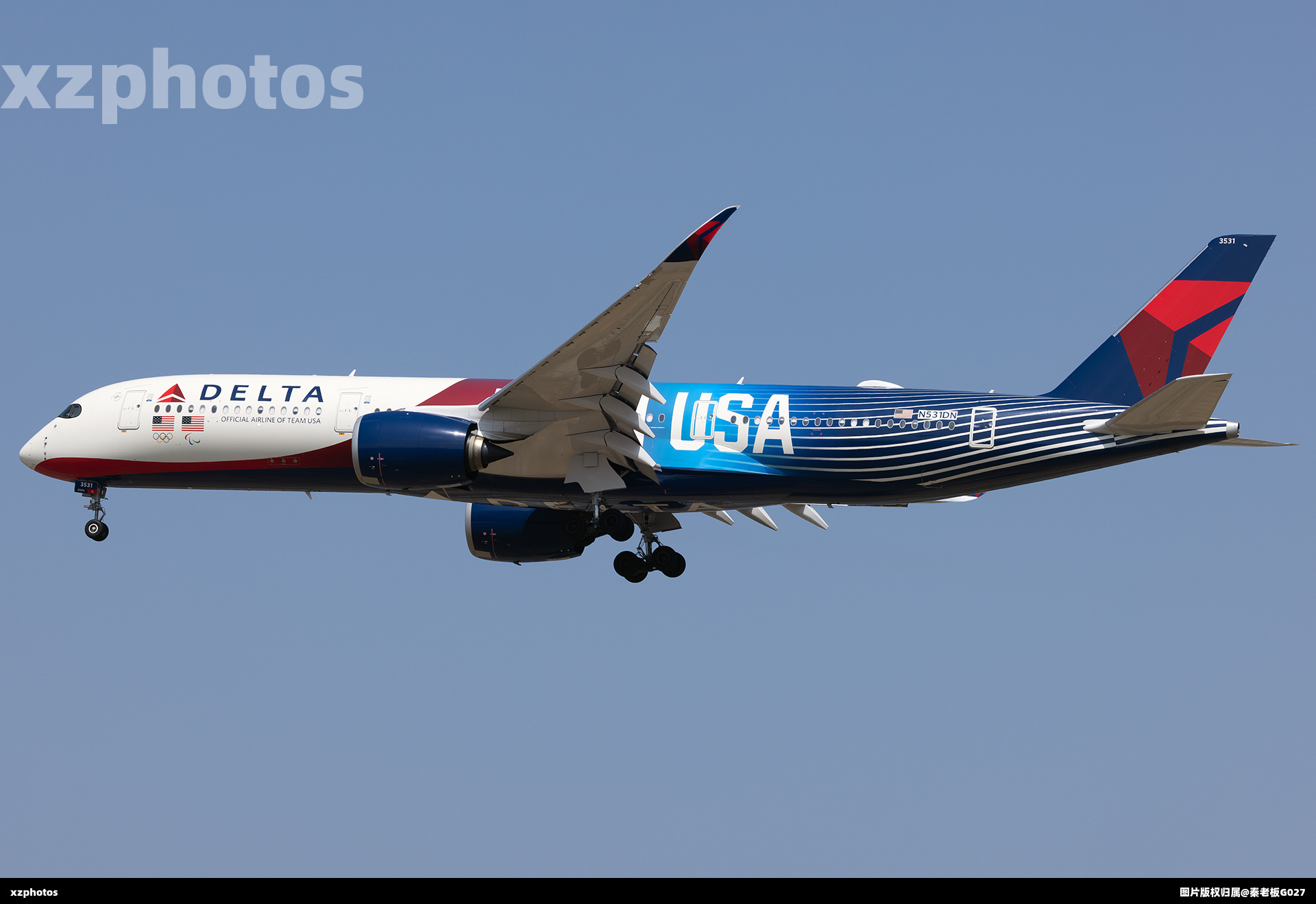 达美Team USA彩绘